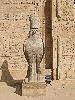 Horus vor dem Allerheiligsten