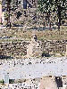 Luxor, eine Sphinx der Sphinxallee